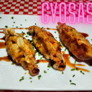 01.- Gyosas de Res y Verduras